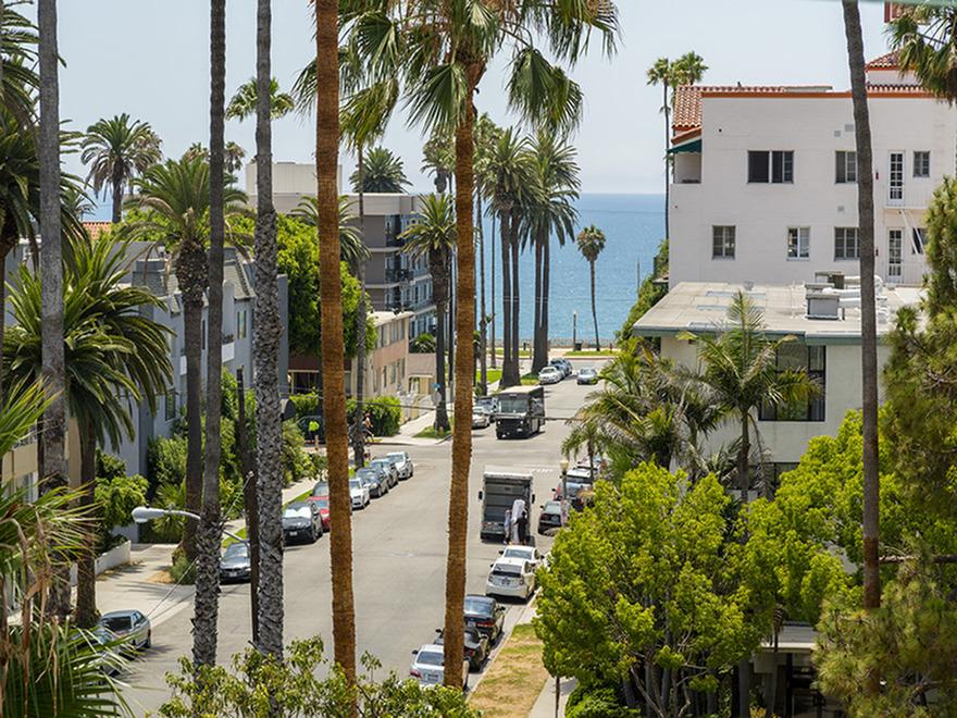 Ocean Palms and Palisades Image 30